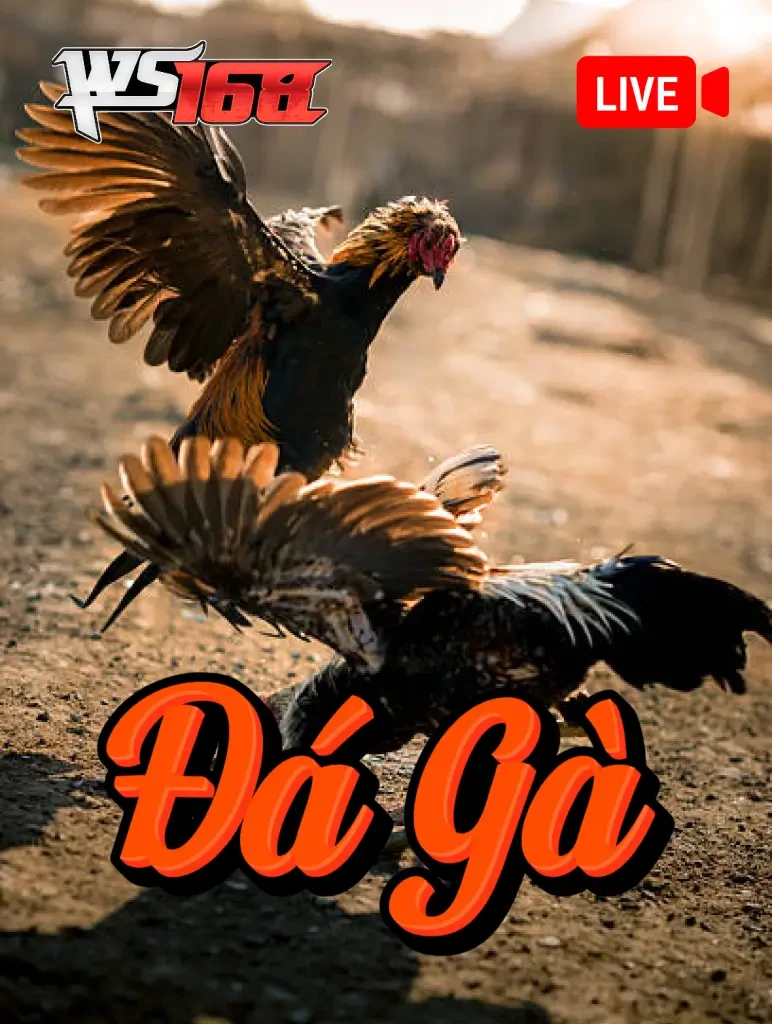ĐÁ GÀ